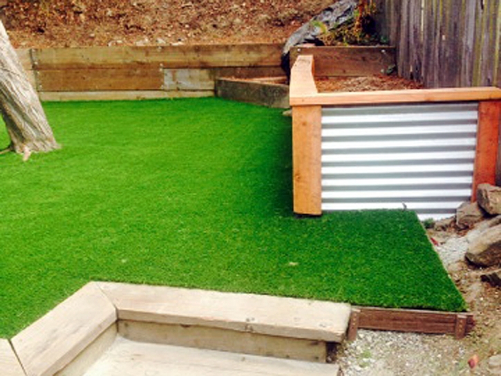 Synthetic Lawn Greenfield, California Rooftop, Backyard Landscaping