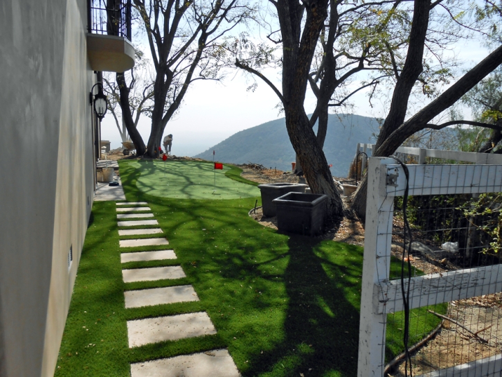 Synthetic Lawn La Presa, California Best Indoor Putting Green, Backyard Designs