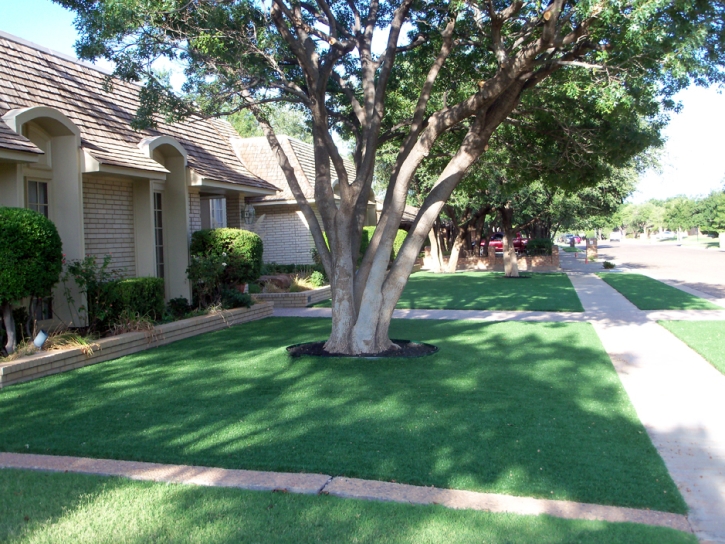 Synthetic Lawn Laguna Niguel, California Landscaping, Front Yard Ideas