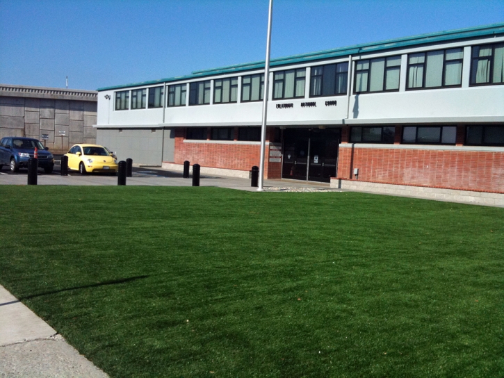 Synthetic Lawn Lawndale, California Roof Top, Commercial Landscape