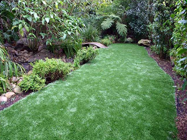 Synthetic Lawn Ramona, California Garden Ideas, Backyard Landscaping