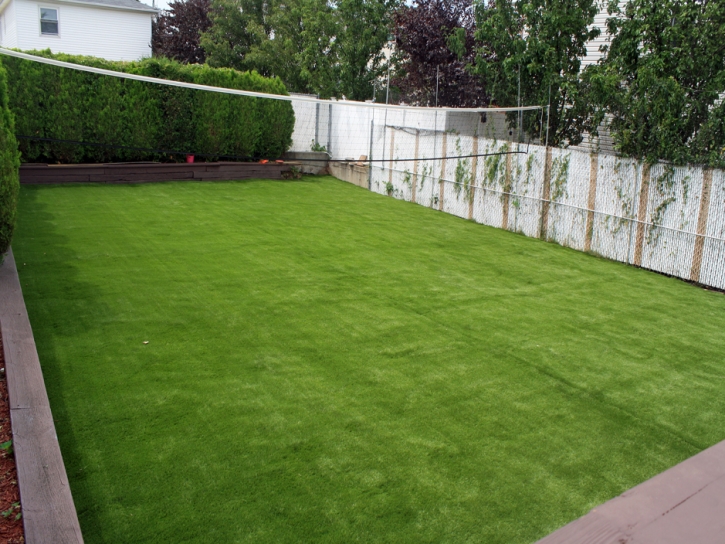 Synthetic Lawn Rialto, California City Landscape, Small Backyard Ideas