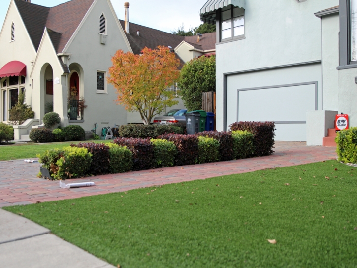 Synthetic Lawn Ripley, California Landscaping Business, Front Yard Design