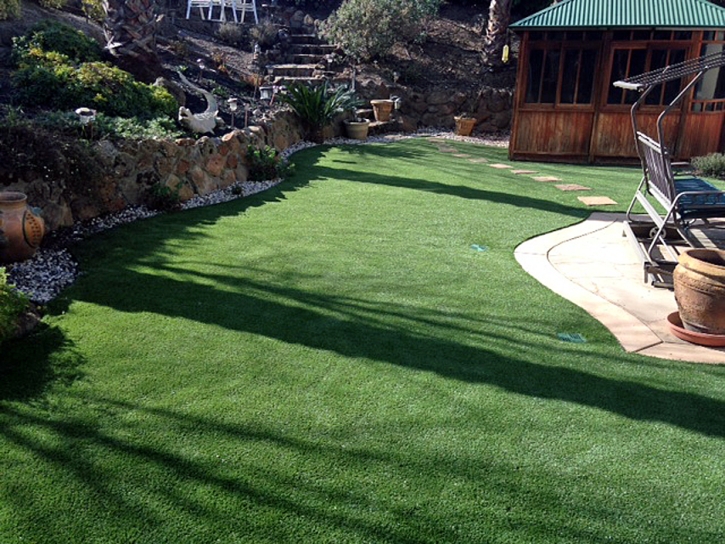 Synthetic Lawn Watsonville, California City Landscape, Backyards