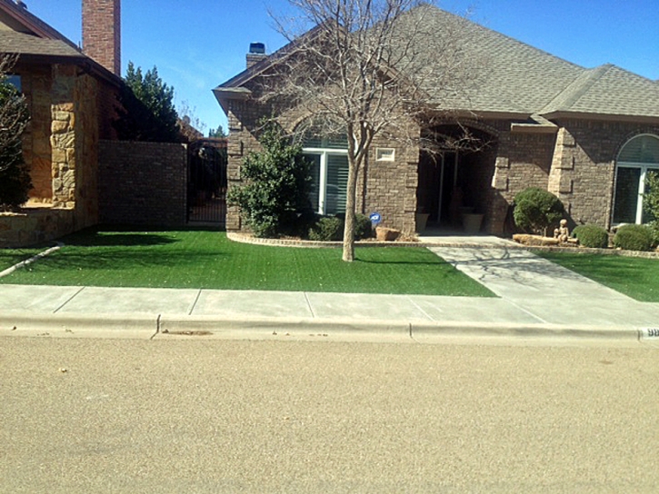 Synthetic Lawn Westmorland, California Landscape Ideas, Front Yard Landscaping