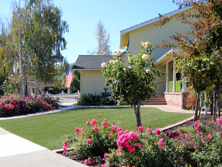 Synthetic Turf Alta Sierra, California City Landscape, Front Yard Design