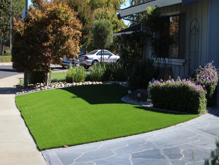 Synthetic Turf Buellton, California Landscape Photos, Landscaping Ideas For Front Yard