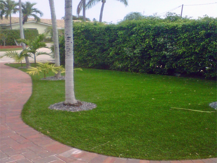 Synthetic Turf Camarillo, California Landscape Rock, Front Yard Landscaping