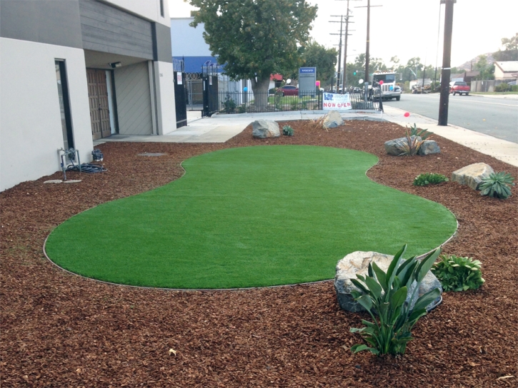 Synthetic Turf Cambria, California Garden Ideas, Commercial Landscape