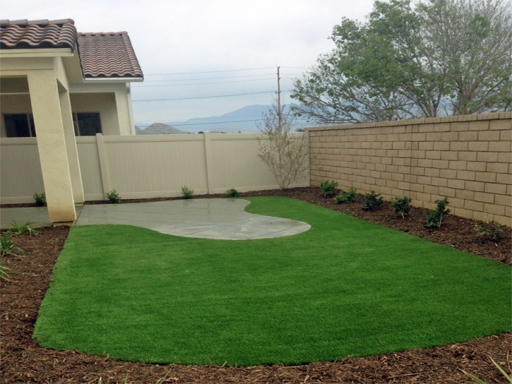 Synthetic Turf Capitola, California Design Ideas, Backyard Design