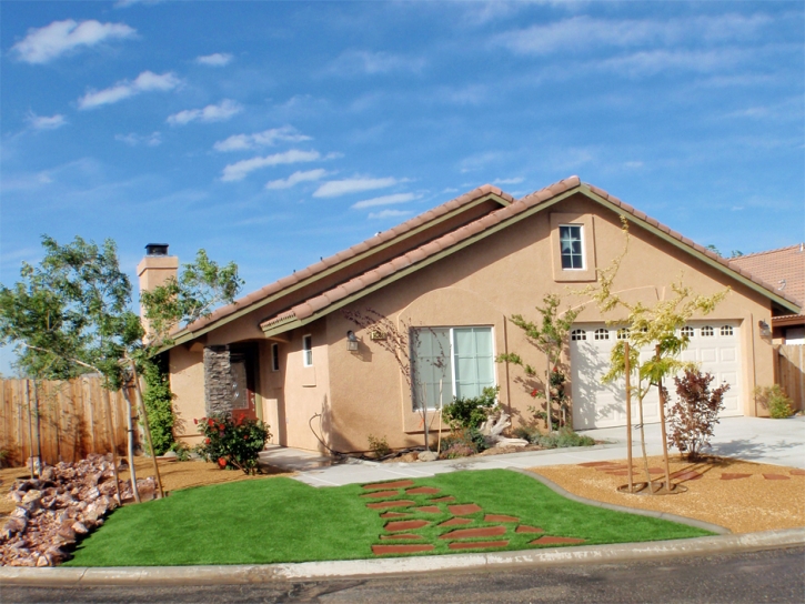 Synthetic Turf Coulterville, California Backyard Deck Ideas, Front Yard