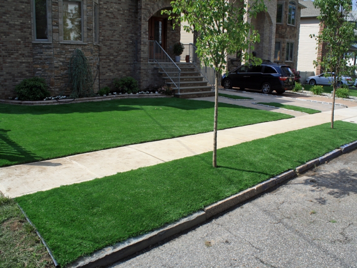 Synthetic Turf Crestline, California Roof Top, Front Yard Landscape Ideas