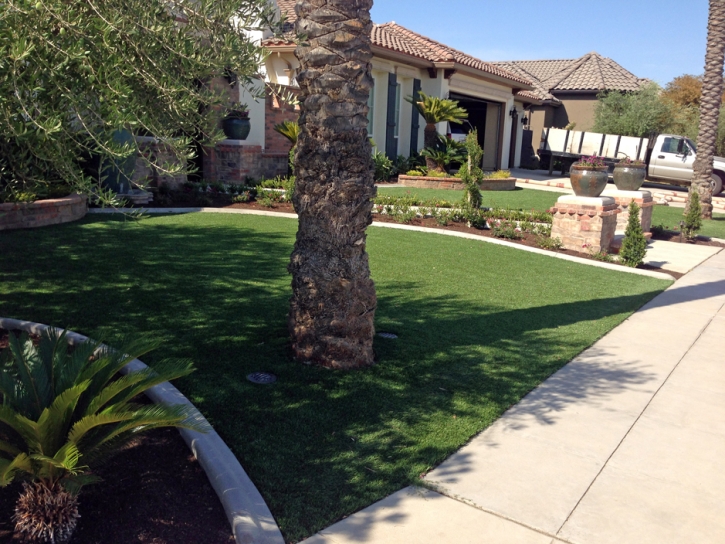 Synthetic Turf Fullerton, California Landscaping, Front Yard Landscaping