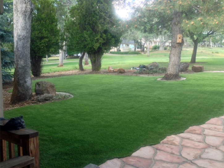 Synthetic Turf Laguna Beach, California Garden Ideas, Landscaping Ideas For Front Yard