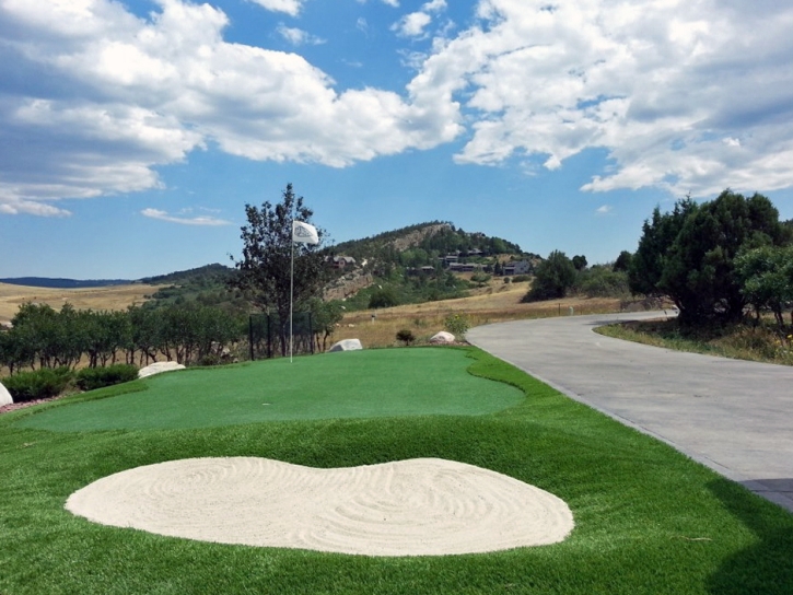 Synthetic Turf Lancaster, California Home And Garden, Front Yard Design