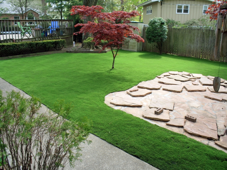 Synthetic Turf Murrieta Hot Springs, California Backyard Playground, Backyard Makeover