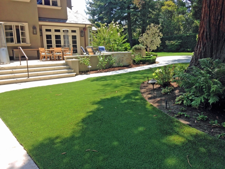 Synthetic Turf Pinon Hills, California Roof Top, Backyard Landscape Ideas