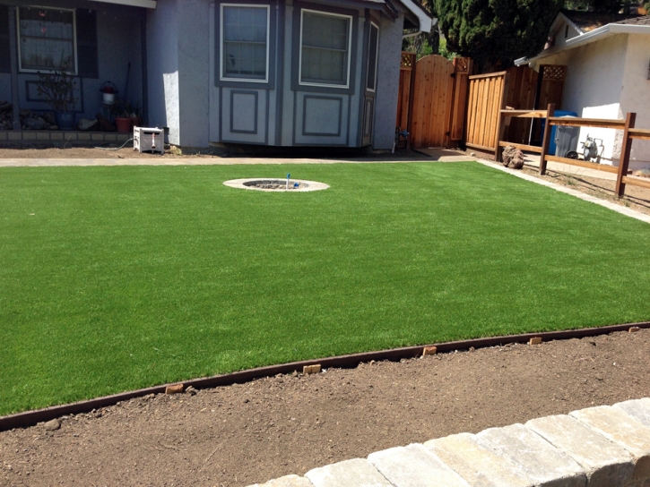 Synthetic Turf Portola Hills, California Lawns, Front Yard Landscape Ideas