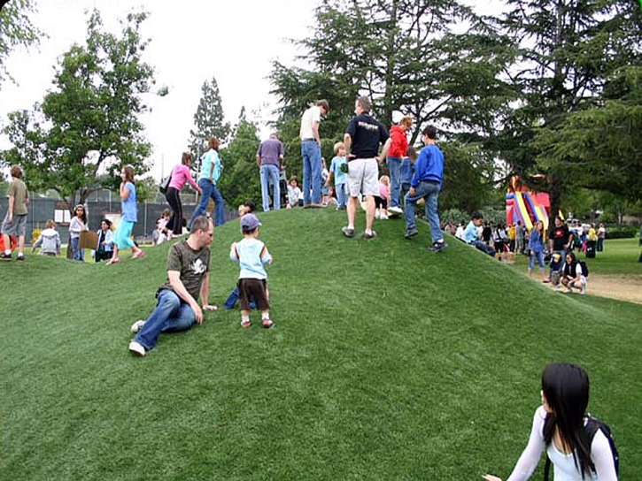 Synthetic Turf Rosedale, California Rooftop, Recreational Areas