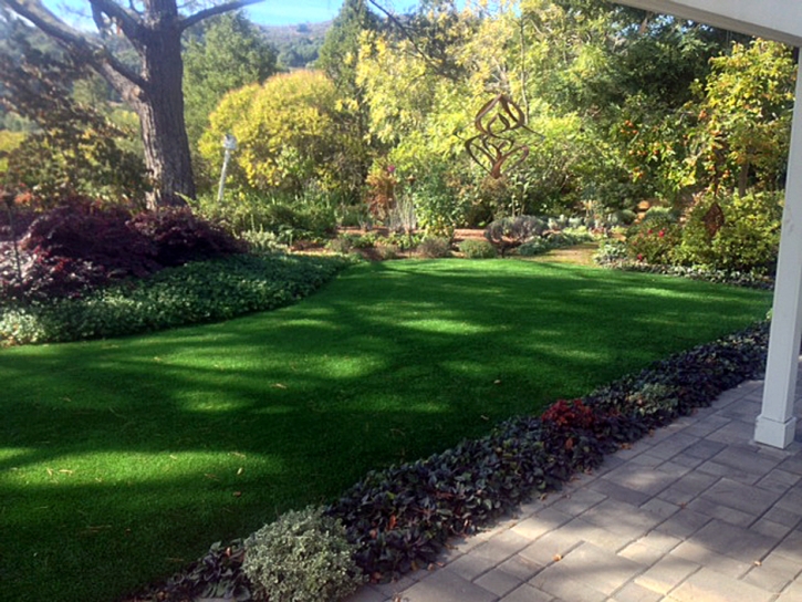 Synthetic Turf Supplier Avenal, California Design Ideas, Backyard Landscape Ideas