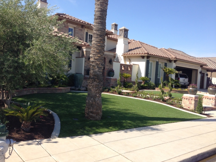 Synthetic Turf Supplier El Cerrito, California Garden Ideas, Front Yard Landscape Ideas