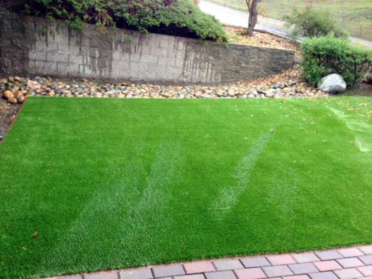 Synthetic Turf Supplier Independence, California Design Ideas, Front Yard