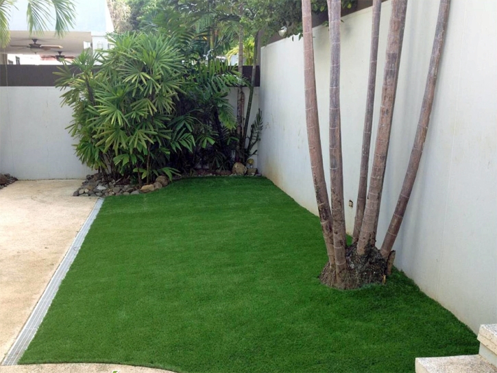 Synthetic Turf Supplier Julian, California Backyard Playground, Backyard