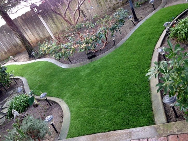 Synthetic Turf Supplier Morgan Hill, California Backyard Deck Ideas, Backyard Landscaping Ideas