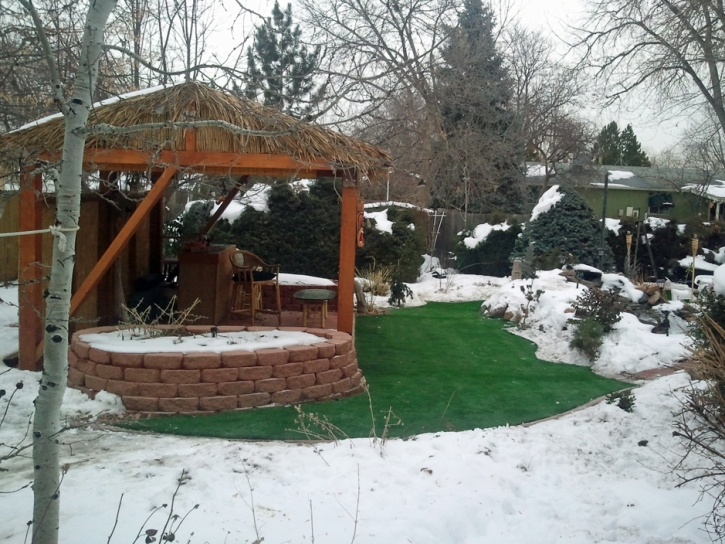 Synthetic Turf Supplier Nuevo, California Design Ideas, Backyard Ideas