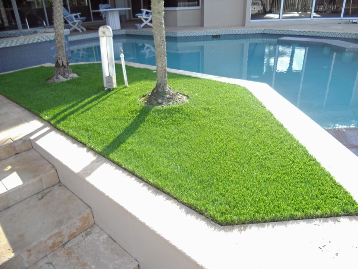 Synthetic Turf Supplier West Whittier-Los Nietos, California Garden Ideas, Above Ground Swimming Pool