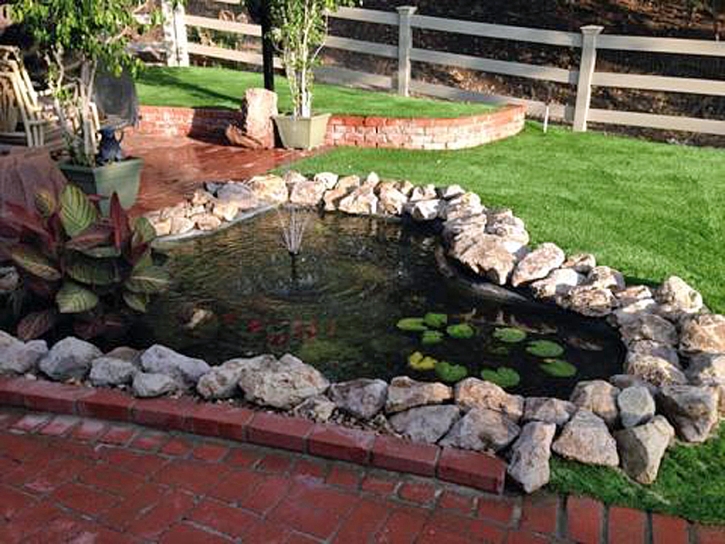 Synthetic Turf West Park, California Backyard Playground, Above Ground Swimming Pool