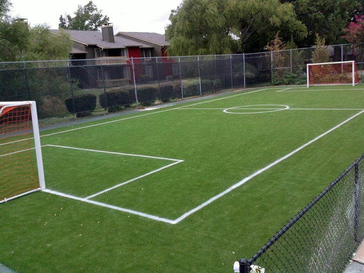 Turf Grass Claremont, California Backyard Sports, Commercial Landscape