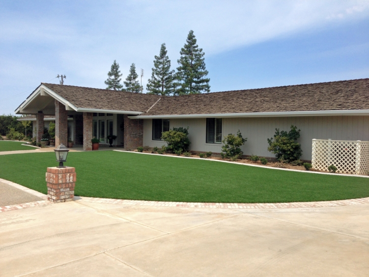 Turf Grass Costa Mesa, California Garden Ideas, Front Yard