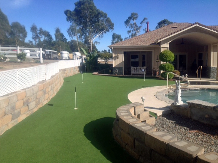 Turf Grass Heber, California Indoor Putting Green, Backyard Ideas