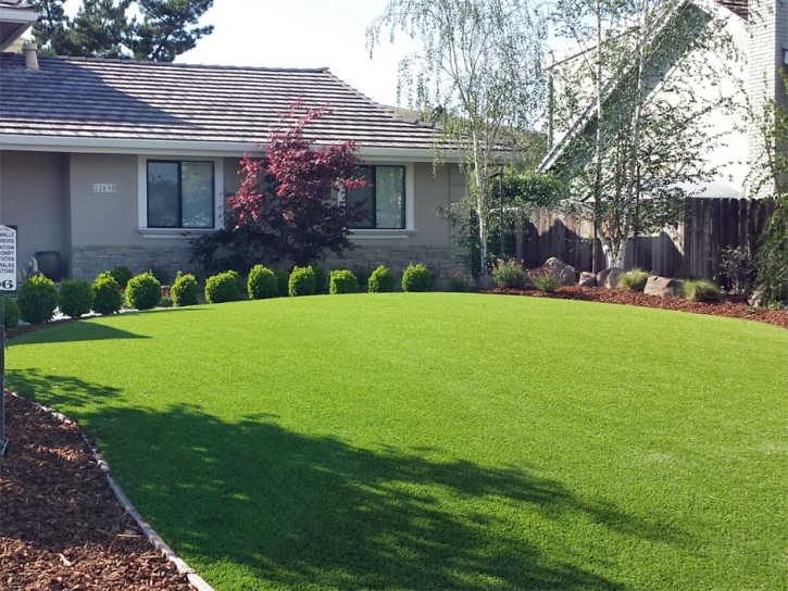 Turf Grass Malibu, California Landscape Design, Landscaping Ideas For Front Yard