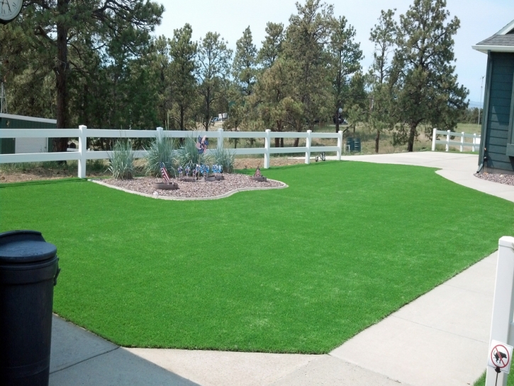 Turf Grass Whittier, California City Landscape, Landscaping Ideas For Front Yard